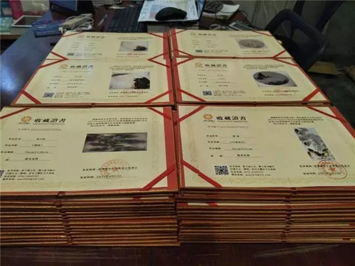 2017第六届深圳城市艺术博览会正式启动