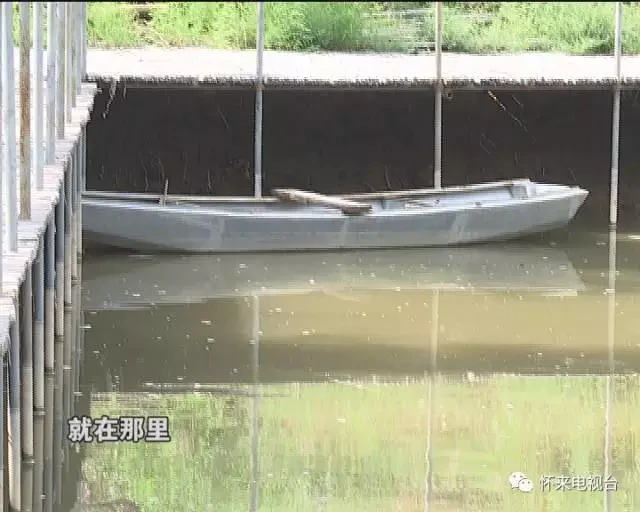 《看怀来— 文明知与行 》--《钓友勇救落水儿童 》
