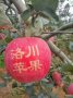 ƻȥ  й崨ƻҿ