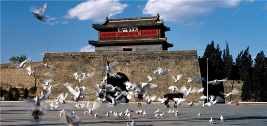 “魅力秦皇岛,直播传世界” 秦皇岛冬季旅游直播宣传推广活动在秦皇岛正式启动