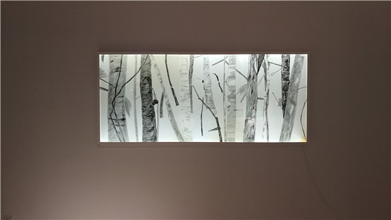 绿太阳——李晶个展亮相于798艺术区作者画廊
