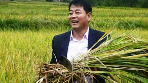 翠草碧叶生态农业创办人李治民:良心承诺吃好米 做好人