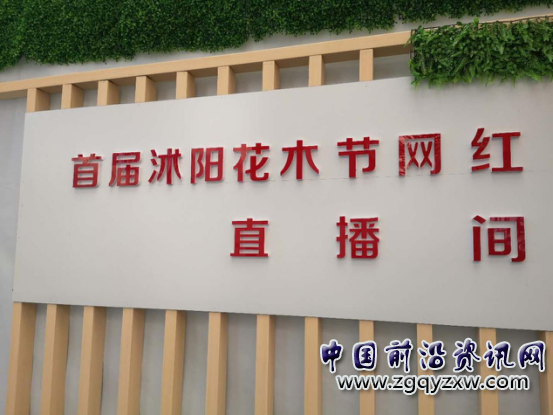 沭阳花木:洋专家掌舵、土专家撑船,唱红花天海地