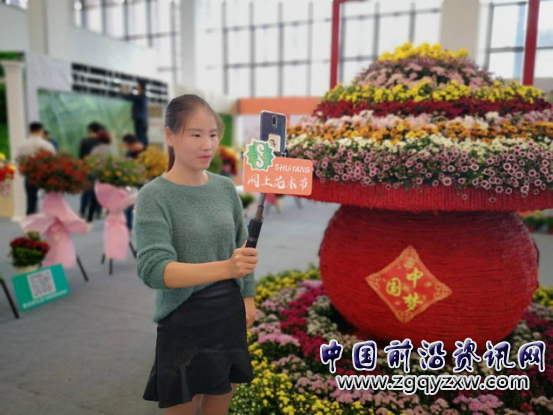 沭阳花木:洋专家掌舵、土专家撑船,唱红花天海地