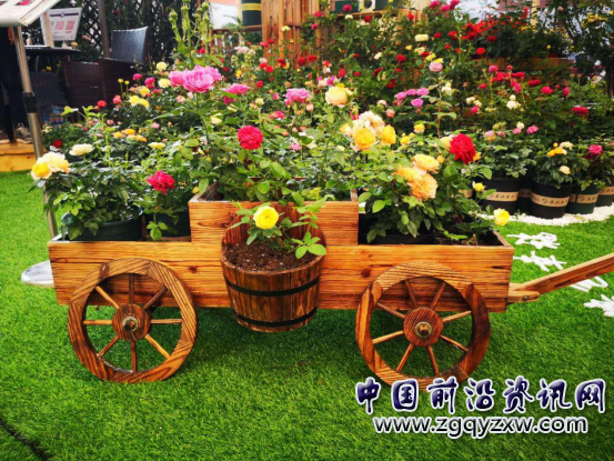 沭阳花木:洋专家掌舵、土专家撑船,唱红花天海地