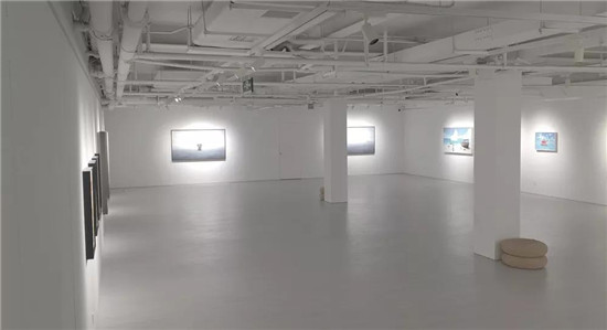 动物喜剧,乐园之旅—郑成俊个展亮相798作者画廊