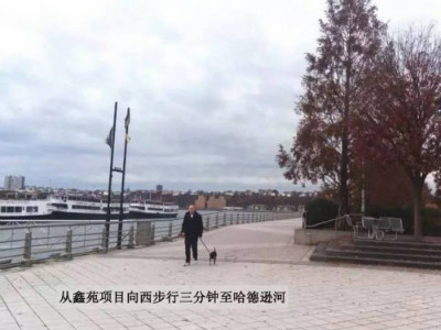 曾霸屏纽约时代广场的鑫苑国际在美开发新项目!