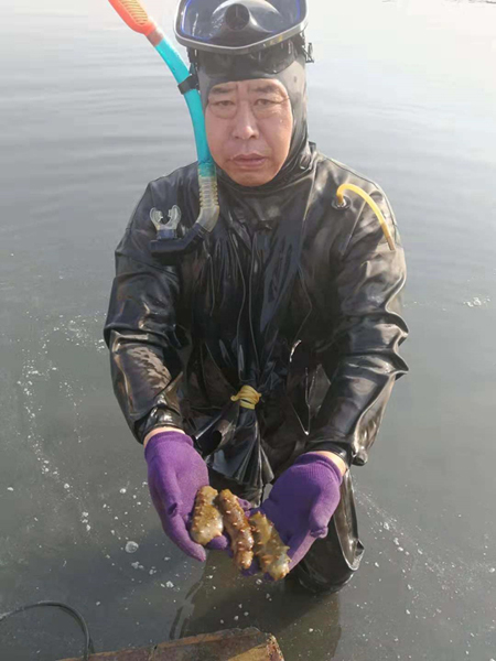 ҡͷ纣Ρʼ ºμ