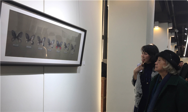 不期而遇—姚蓉蓉作品展在塞隆水泥库艺术空间举行