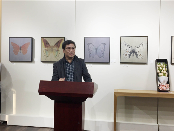 不期而遇—姚蓉蓉作品展在塞隆水泥库艺术空间举行