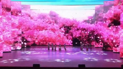 2019少儿星光大道少儿才艺电视大赛贵州省总决赛在贵阳大剧院圆满落幕