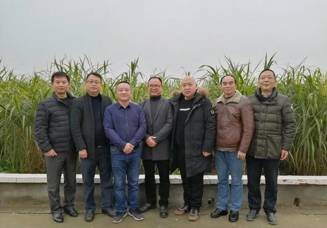 金牧粮草发源地大邑金鸡村迎来成都食品流通行业溯源食材年会