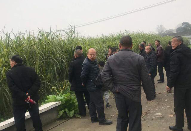 金牧粮草发源地大邑金鸡村迎来成都食品流通行业溯源食材年会
