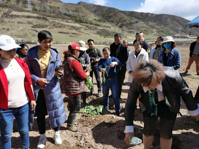 在希望的田野上播种 金牧粮草走进阿坝落户松潘