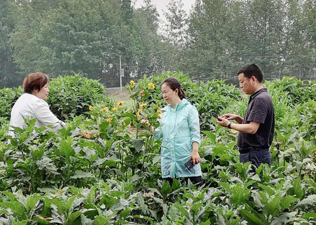 大邑县长连华到金牧粮草种养循环产业基地考察调研