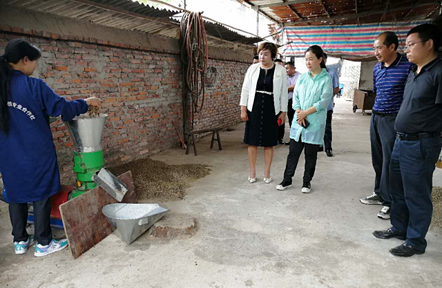 大邑县长连华到金牧粮草种养循环产业基地考察调研