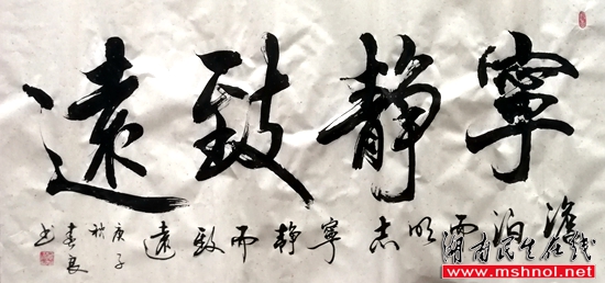 中华文化复兴践行者王春良入选《走进迪拜大型文献珍藏邮册》